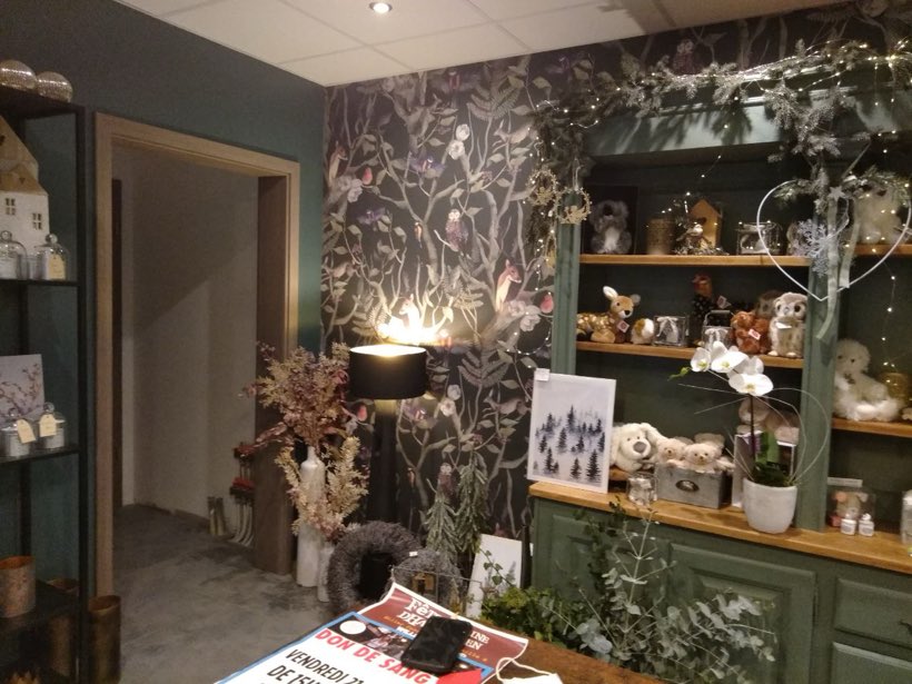 La boutique, côté hiboux, Papier peint et peinture vert sapin