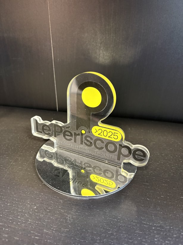 Le Périscope 2025, Trophée plexi découpé