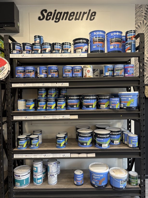 Le rayon Seigneurie, Peintures pro en facing