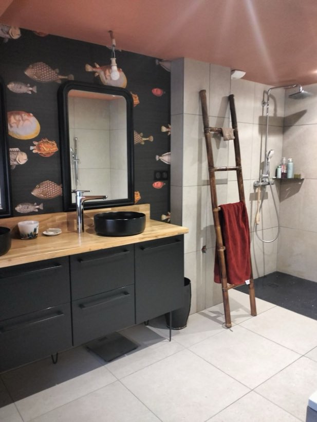 La salle de bain aux poissons, Papier peint et plafond terracotta